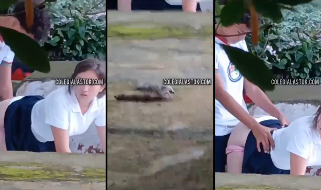 graban a alumnos de prepa cogiendo en el patio de la escuela