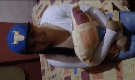 Morrita mexicana echando un palito por necesidad