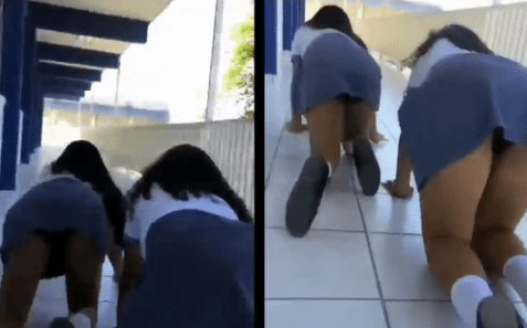 Colegialas salvajes therian captadas en la escuela